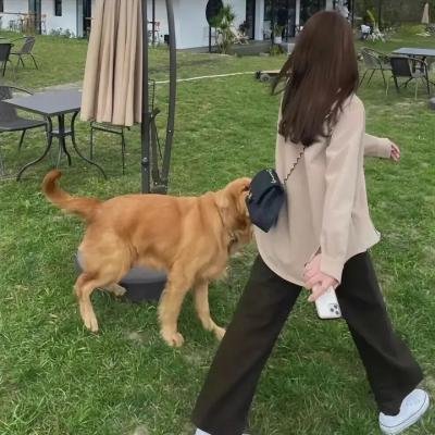 鬼作秀 第一季